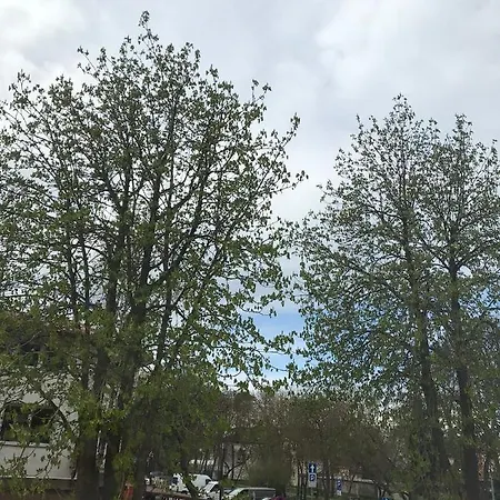 Gosciniec * Mielno (Koszalin)